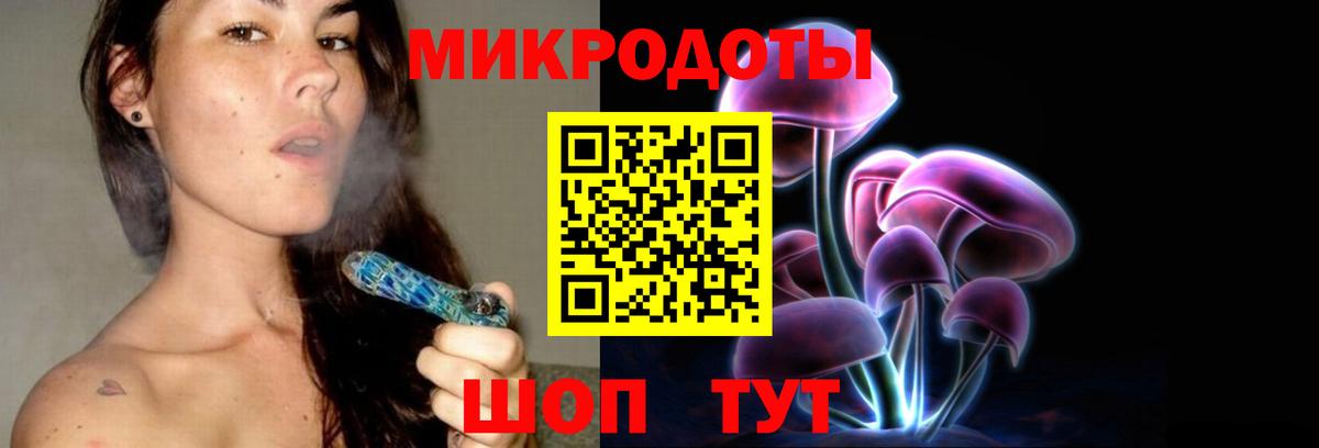 Славгород  магазин продажи наркотиков  Вход с VPN  Галлюциногенные грибы Cubensis 